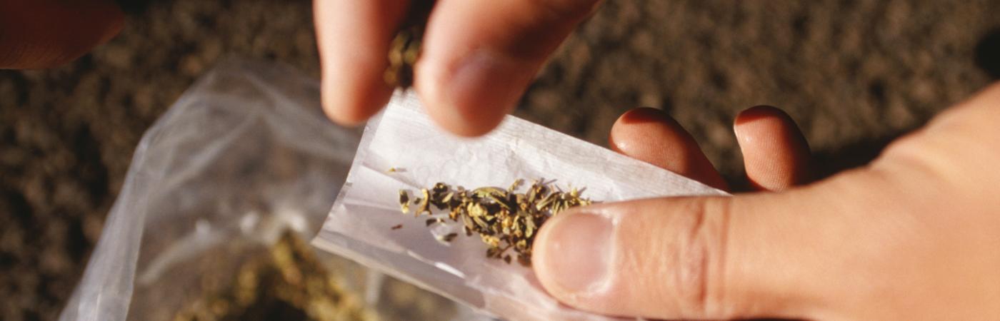 person rolling marijuana joint