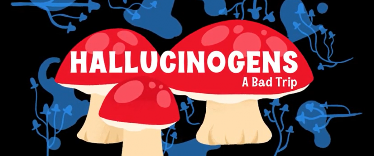 Hallucinogens: A Bad Trip