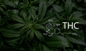 THC Formula