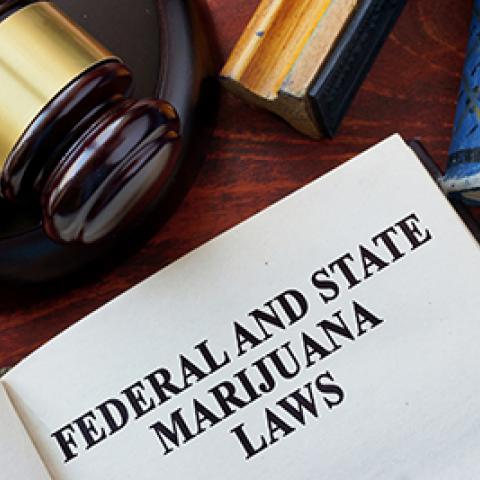 marijuana laws graphic