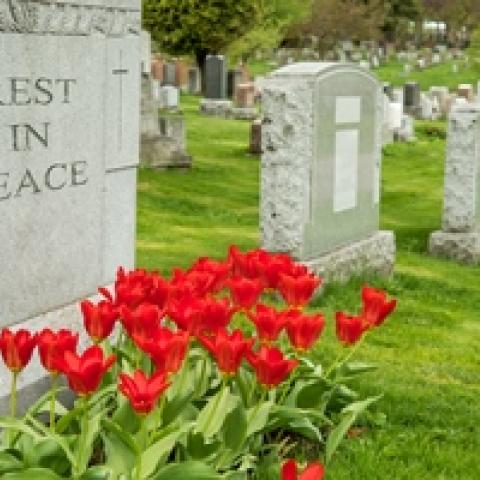 image of tombstone in cemetery