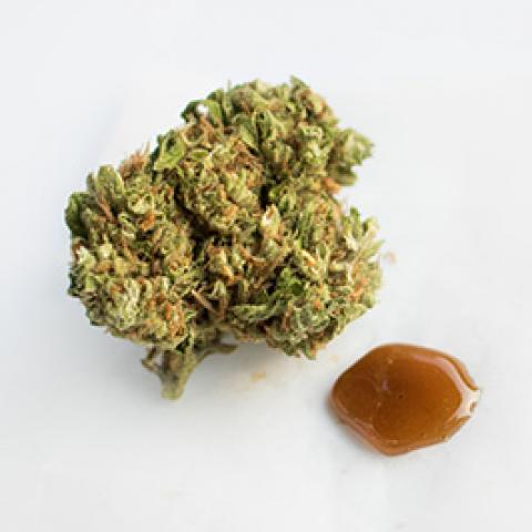 marijuana concentrate next to a bud