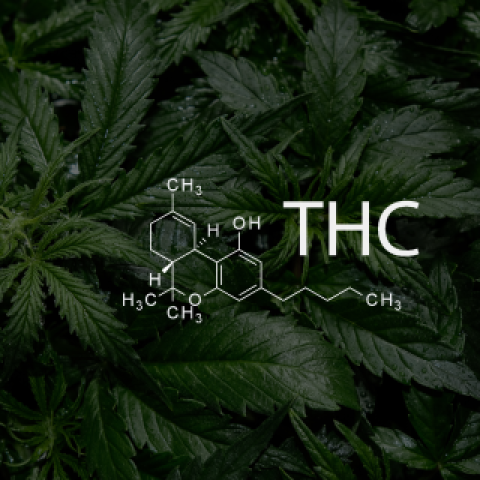 THC Formula