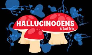 Hallucinogens: A Bad Trip